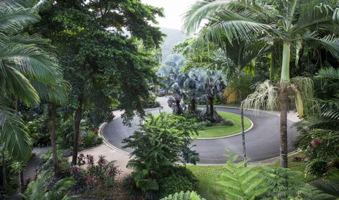 Oasis At Palm Cove - Accommodation Broome 7