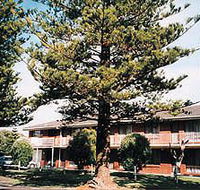 Eastern Beach Holiday Units - Accommodation Broome