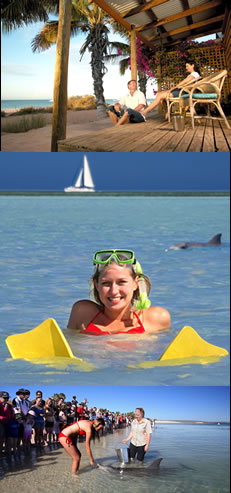 Monkey Mia Dolphin Resort - Accommodation Broome 0