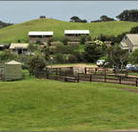 Ace Hi Riding Ranch - Accommodation Broome