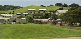 Ace Hi Riding Ranch - Accommodation Broome 0