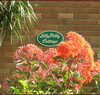 Lillypilly - Accommodation Broome