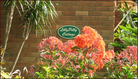 Lillypilly - Accommodation Broome 0