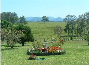 Tallowood Ridge Farmstay B - Accommodation Broome 3