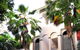 Oasis At Palm Cove - thumb 2