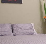 Stingo Hotel - Accommodation Broome