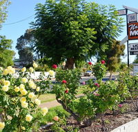 Narrogin Motel - Accommodation Broome