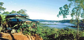 Daintree Cloud 9 - Accommodation Broome 1