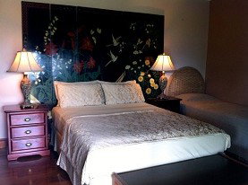 Daintree Manor - Accommodation Broome 0