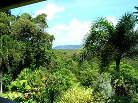 Daintree Manor - Accommodation Broome 3