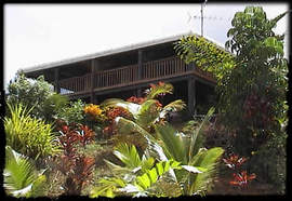 Daintree Manor - Accommodation Broome 5