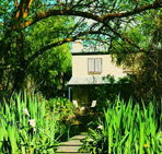 Dennis Cottage - Accommodation Broome