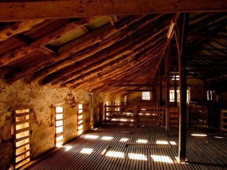 Bungaree Station - Accommodation Broome 3