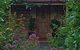 Citrus Cottage - thumb 1