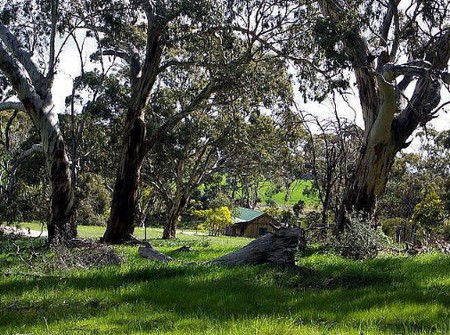 Wuthering Heights - Bronte Manor - Accommodation Broome 3