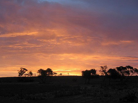 Willangi Bush Escapes - Accommodation Broome 1