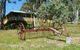 Taralee Orchards - thumb 2