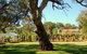 Jacobs Creek Retreat At Moorooroo Park - thumb 3