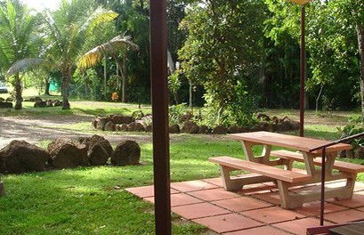 Virginia Heliconia Farm - Accommodation Broome 0