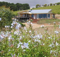 The Blue Grape Vineyard Accommodation - Accommodation Broome