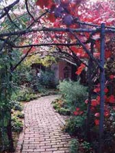Adelaide Hills Country Cottages - The Nest - Accommodation Broome 2