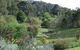 Lorikeet Lane B&B - thumb 1