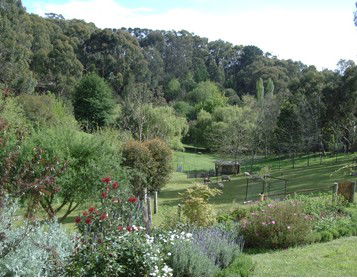 Lorikeet Lane B&B - Accommodation Broome 1