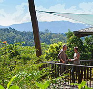 Rose Gums Wilderness Retreat - Accommodation Broome