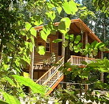Rivers Edge Rainforest Retreat - Accommodation Broome