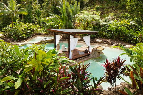 Misty Mountains Tropical Rainforest Romantic Retreat - Accommodation Broome 3
