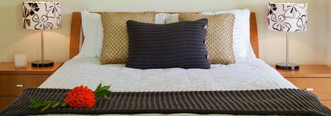 Misty Mountains Tropical Rainforest Romantic Retreat - Accommodation Broome 7