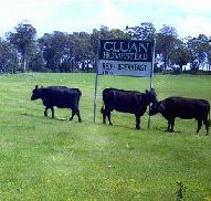 Cluan Homestead - The Managers Residence - Accommodation Broome
