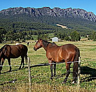 Hurlfield Farm Cottage - Accommodation Broome