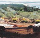 Morella Island Retreats P/L - Accommodation Broome
