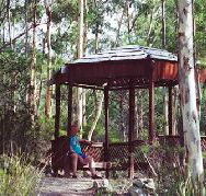 Telopea - Accommodation Broome
