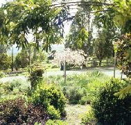 Cherry Park Estate - Accommodation Broome