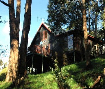 Tree Tops Cascades - Accommodation Broome 2