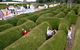 AAA Granary Accommodation - The Last Resort - thumb 3