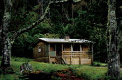 Mountain Valley Wilderness Holidays - Accommodation Broome 1
