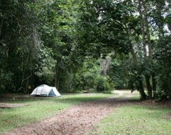 Kingfisher Park Birdwatchers Lodge - Accommodation Broome 5