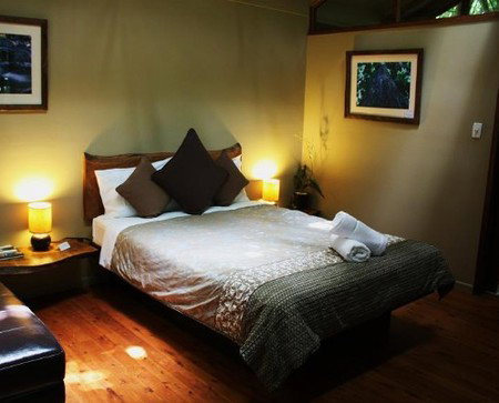 Daintree Wilderness Lodge - Accommodation Broome 2