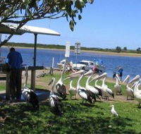Mountain View Caravan and Mobile Home Village - Accommodation Broome