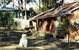 Bernadette Cottage - thumb 0