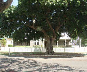 Annies Bed And Breakfast Grafton - Accommodation Broome 3