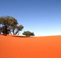 Theldarpa Stationstay - Accommodation Broome