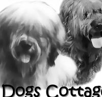 2 Dogs Cottages - Accommodation Broome