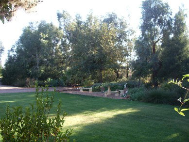 Wilga Park Cottage - Accommodation Broome 4