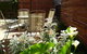 Stable At Riesling - thumb 1