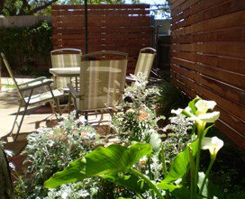 Stable At Riesling - Accommodation Broome 1