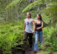 Blackheath Glen Tourist Park - Accommodation Broome